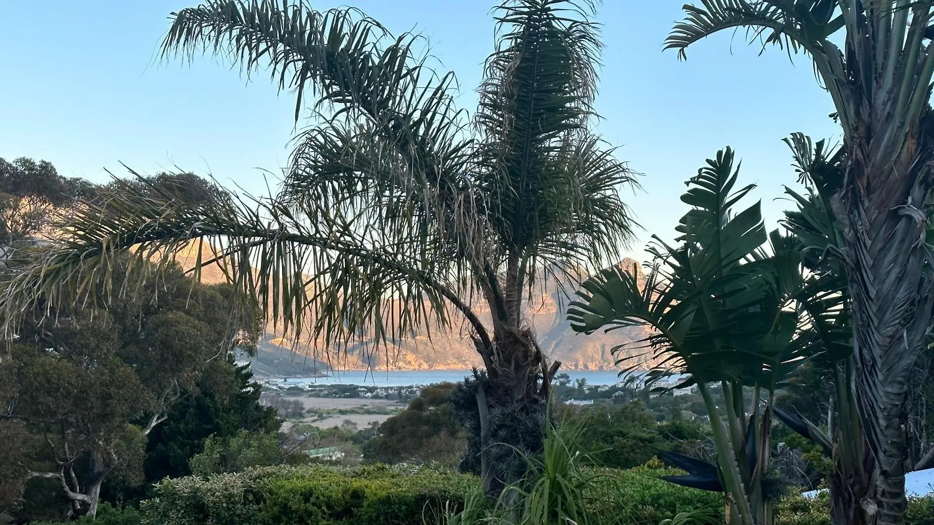 The Palm Hout Bay Διαμέρισμα Κέιπ Τάουν